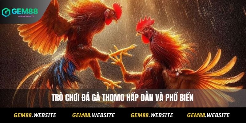 Đá Gà Thomo